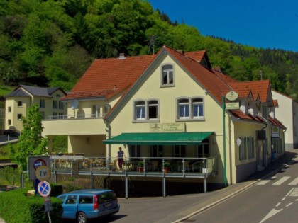Foto: Grüner Baum